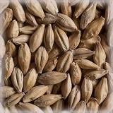 Pilsnermalt 2RS | Hel | 25 kg | Castle Malting