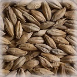Pale Ale Malt | Hel | 25 kg |Castle Malting