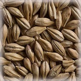 Cara Clair® | Hel | 25 kg | Castle Malting