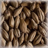 Munich Light Malt | Hel | 25 kg | Castle Malting