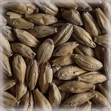 Munich Malt | Hel | 25 kg | Castle Malting