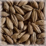 Vienna Malt | Hel | 25 kg |Castle Malting