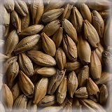 Cara Gold® | Hel | 25 kg | Castle Malting