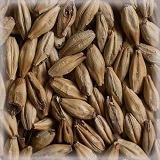 Cara Crystal® | Hel | 25 kg | Castle Malting
