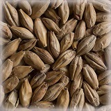 Melano Light® | Hel | 25 kg | Castle Malting
