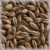Biscuit Malt | Hel | 25 kg | Castle Malting