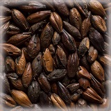 Chocolate Malt | Hel | 25 kg | Castle Malting
