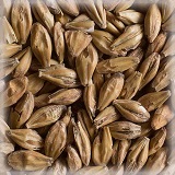 Acid Malt | Hel | 25 kg | Castle Malting