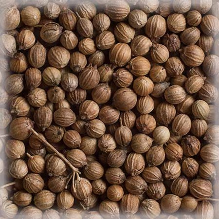 Coriander Seeds | Korianderfrön 50 g